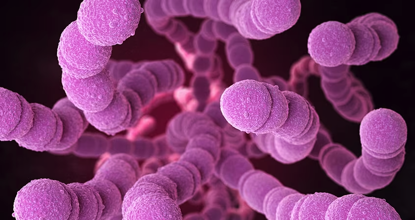 Иновативно лечение и актуални терапии за инфекции, причинени от Streptococcus pneumoniae